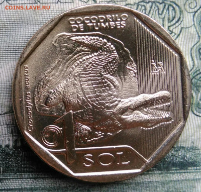 Перу 1 соль 2017 года до 03.11.2025 - IMG_20251029_185202