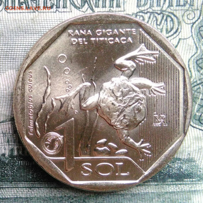 Перу 1 соль 2019 года до 03.11.2025 - IMG_20251029_185131