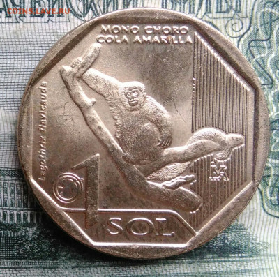 Перу 1 соль 2019 года до 03.11.2025 - IMG_20251029_185101