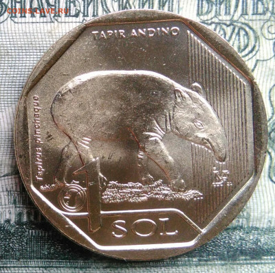 Перу 1 соль 2018 года до 03.11.2025 - IMG_20251029_185034