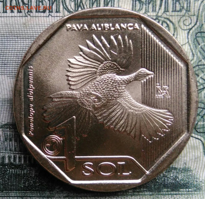 Перу 1 соль 2018 года до 03.11.2025 - IMG_20251029_184949