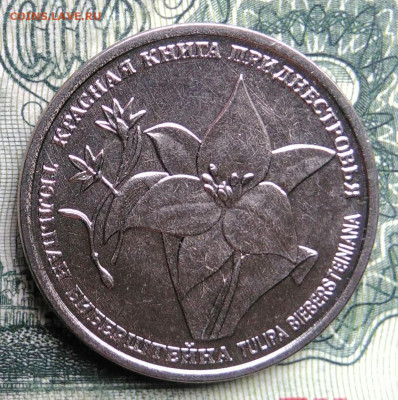 Приднестровье 1 рубль 2019 года до 03.11.2025 - IMG_20251029_173624