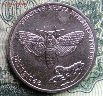 Приднестровье 1 рубль 2018 года до 03.11.2025 - IMG_20251029_171858