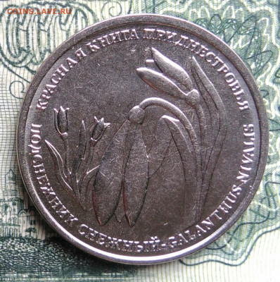 Приднестровье 1 рубль 2020 года до 03.11.2025 - IMG_20251029_171710