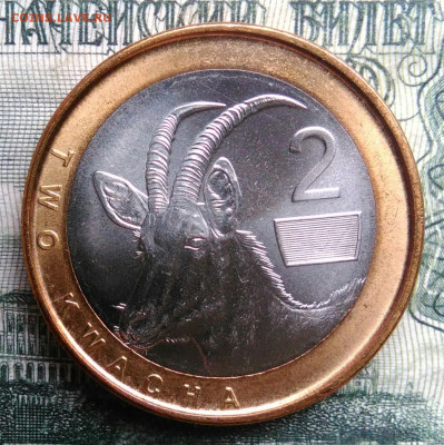 Замбия 2 квача 2024 года до 03.11.2025 - IMG_20251029_173840