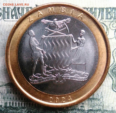 Замбия 2 квача 2024 года до 03.11.2025 - IMG_20251029_173856