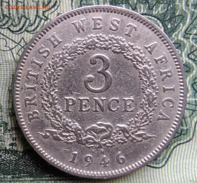 Британская Западная Африка 3 пенса 1946 года до 03.11.2025 - IMG_20251029_170834