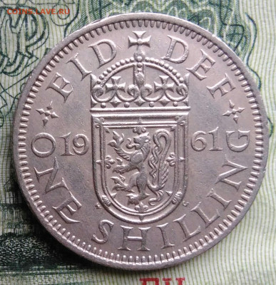 Великобритания 1 шиллинг 1961 года до 03.11.2025 - IMG_20251029_183055