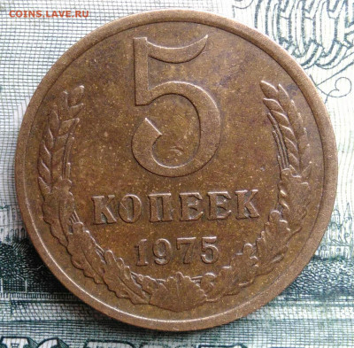 5 копеек 1975 года до 03.11.2025 - IMG_20251024_175248