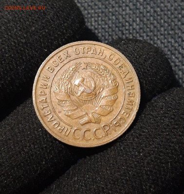СССР 1 копейка 1924 года ДОМАШНЯЯ До 05.11 - 20250617_212125