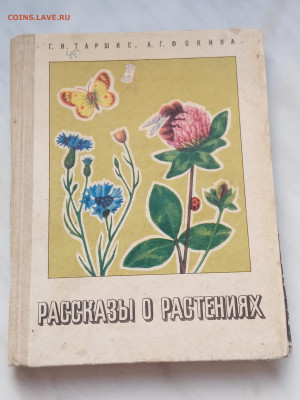 Рассказы о растениях до 05.11.25 в 22:00 по мск - IMG_20251030_155748
