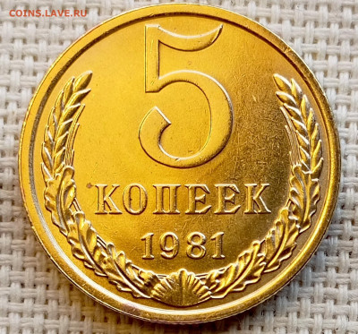 5 копеек 1981 года Штемпельный Блеск до 1.11 в 22.00 - 1761829862056