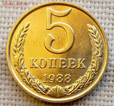 5 копеек 1988 года Штемпельный Блеск до 1.11 в 22.00 - 1761830958758