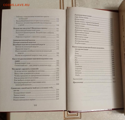 Кошка целитель. До 05.11.25 в 22:00 по мск - IMG_20251030_221916