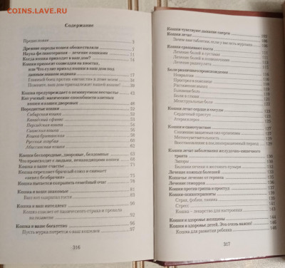 Кошка целитель. До 05.11.25 в 22:00 по мск - IMG_20251030_221939