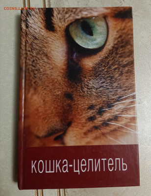 Кошка целитель. До 05.11.25 в 22:00 по мск - IMG_20251030_222003