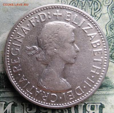 Австралия 1 флорин 1954 года до 03.11.2025 - IMG_20251024_212543