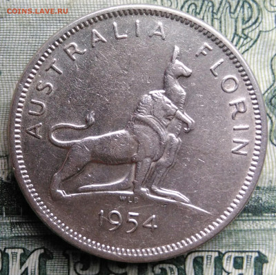 Австралия 1 флорин 1954 года до 03.11.2025 - IMG_20251024_212558