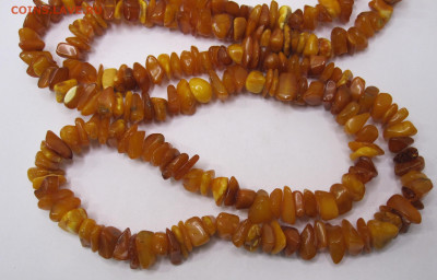 Куплю Янтарь,Будда,Зуб Кашалота - 008.JPG