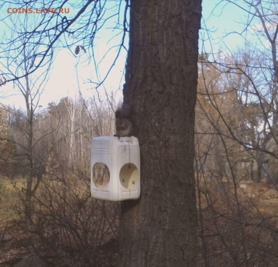 делает - прямо сейчас !!! - 31.10.2025