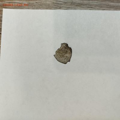 Деньга Псковская Довмонт, до 04.11.25г. - IMG_20251031_202551