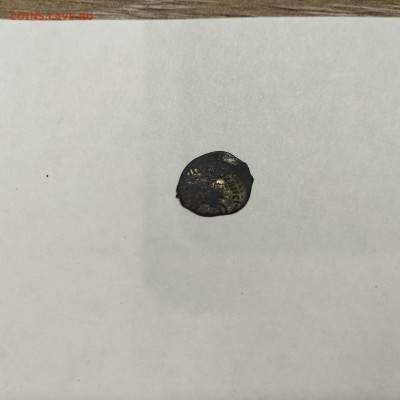 Деньга Иван III, до 04.11.25г. - IMG_20251031_202411