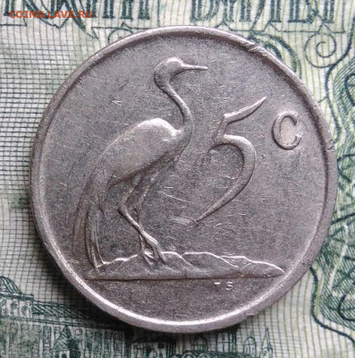Южная Африка 5 центов 1984 года до 03.11.2025 - IMG_20251030_223427