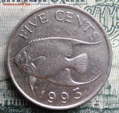 Бермуды 5 центов 1993 года до 03.11.2025 - IMG_20251029_181353