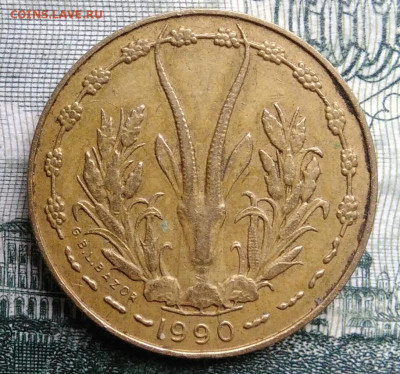 Западная Африка 5 франков 1990 года до 03.11.2025 - IMG_20251029_002429