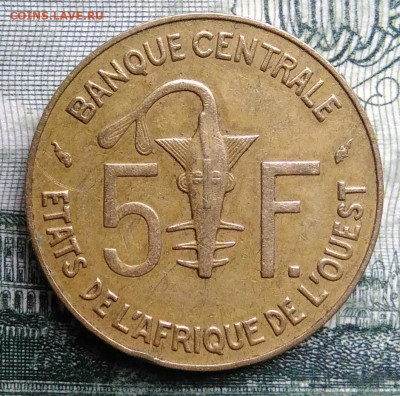 Западная Африка 5 франков 1990 года до 03.11.2025 - IMG_20251029_002445