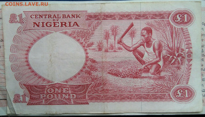 Нигерия 1 фунт 1967 года до 03.11.2025 - IMG_20251029_165836