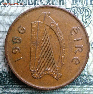 Ирландия 2 пенса 1986 года до 03.11.2025 - IMG_20251024_223201