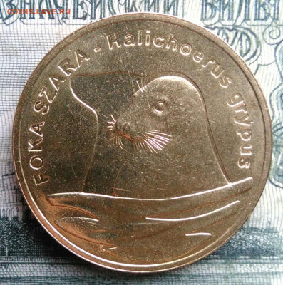 Польша 2 злотых 2007 года Длинномордый тюлень до 03.11.2025 - IMG_20251028_183019