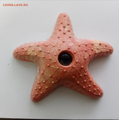 Игрушка детская морская звезда ссср до 07.11.25 в 22:00 по м - IMG_20251101_154129