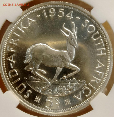 ЮАР 5 шиллингов 1954 ННР PF68 до 04.11 - IMG_20251031_143754_724