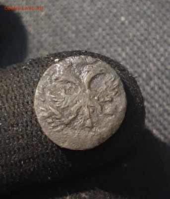 Петр I ПОЛУШКА ВРП 1720 года До 07.11 - 20250730_222800