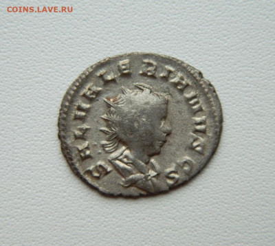 Др.Рим. Цезарь Салонин 260 г. С рубля! до 06.11.25 - DSCN8787.JPG