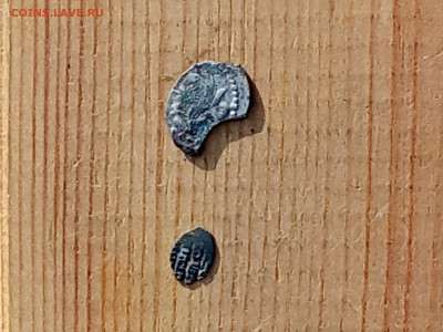 Чешуя на определение - IMG_20251101_103546