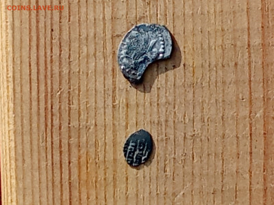 Чешуя на определение - IMG_20251101_103602