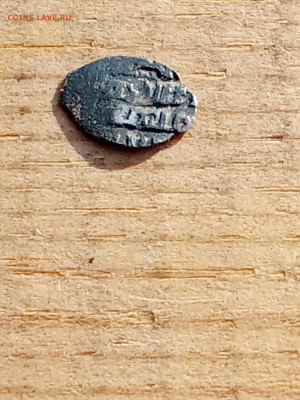 Чешуя на определение - IMG_20251101_103744