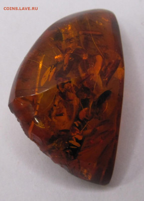 Брошь Янтарь СССР кл-мо ЯК4 до 03.11 - 004.JPG