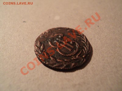 полушка 1778 сибирь до 24.02.12 22:00 по мск. - DSC02504.JPG