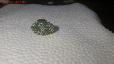 Всем привет - 20251101_200927