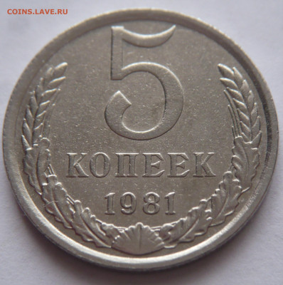 5 коп. 1981г. белый металл крашенная? - P1490304.JPG