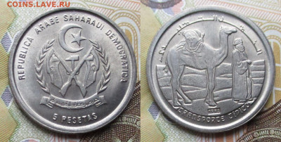 Западная Сахара 5 песет 1992 до 09-11-25 в 22:00 - Сахара 5 песет 1992    250-к199-13580