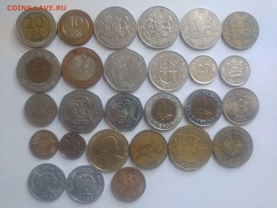 ФИКС Монеты Африки до 09.11.2025 22-00 мск - Африка 1