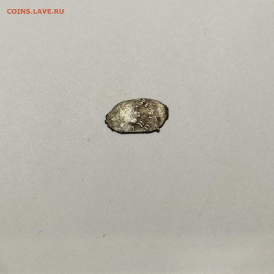 Деньга Иван III, лит. М (1), до 04.11.25г. - IMG_20251103_205727