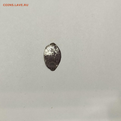 Деньга Иван III, лит. М (2), до 04.11.25г. - IMG_20251103_205812