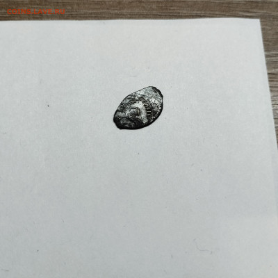 Деньга Иван III, без литеры, до 04.11.25г. - IMG_20251103_210024