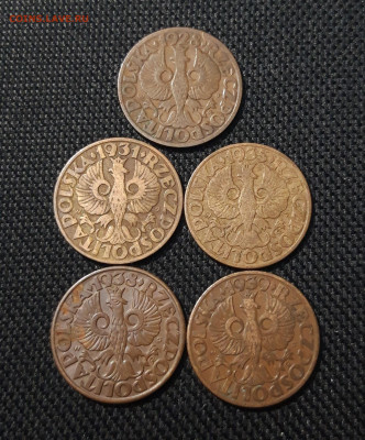 ПОЛЬША 5 ГРОШЕЙ 1928 - 1939 года 5 монет в лоте До 10.11 - 20251018_221731